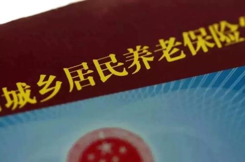 如何查询养老保险-社保迷