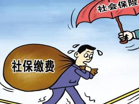 社保转到异地需要怎么办理呢？社保有哪些特征呢？