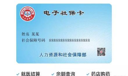 社保卡金额在哪里查询
