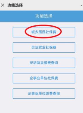 怎样查个人社保缴纳情况查询，断缴后有什么影响！