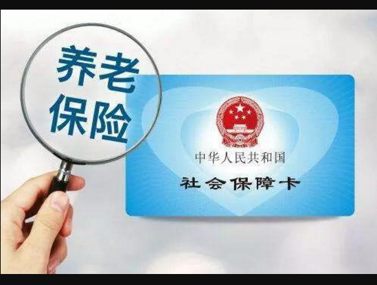 社保法实施细则