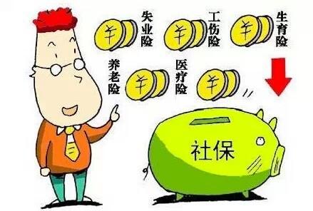 交社保和交养老保险有什么区别