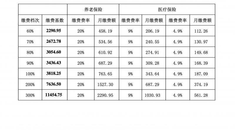 社保缴费证明网上打印